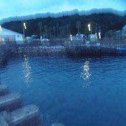 シマアジ２１匹、小アジ４８匹