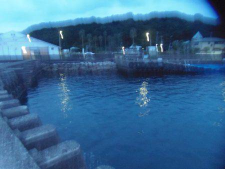 シマアジ２１匹、小アジ４８匹