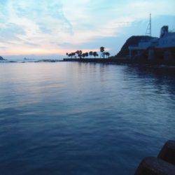 シマアジ２６センチ