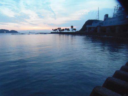 シマアジ２６センチ