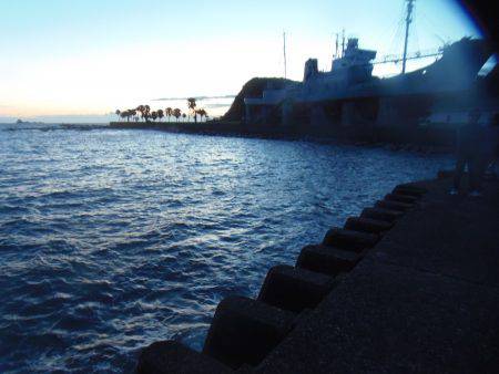 シマアジ少ない