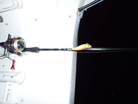 近海ボートエギング