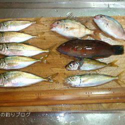 楽しいファミリーフィッシング