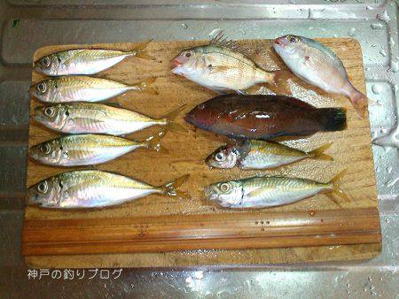 楽しいファミリーフィッシング