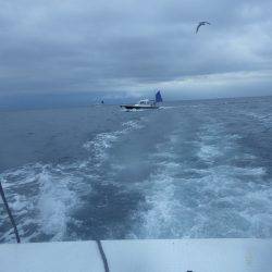 釣船：釣人家にて船太刀魚　