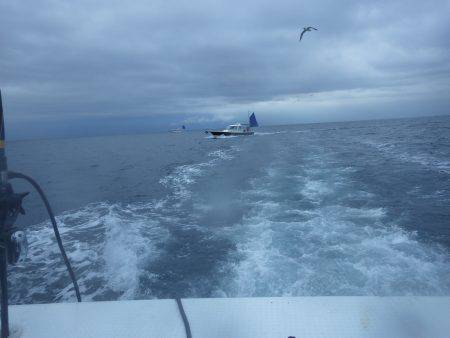 釣船：釣人家にて船太刀魚　