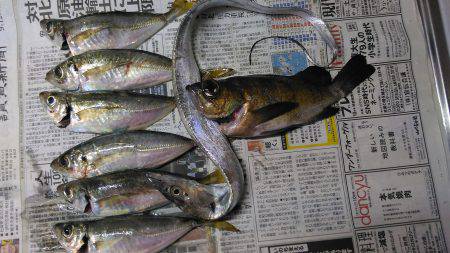 決定打が見つからずポツリポツリ。