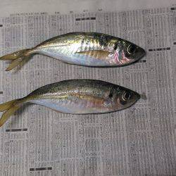 ターンオーバーで水が悪い