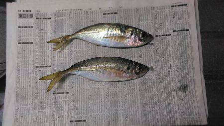 ターンオーバーで水が悪い