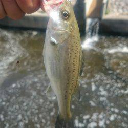 休憩時間にエントリー