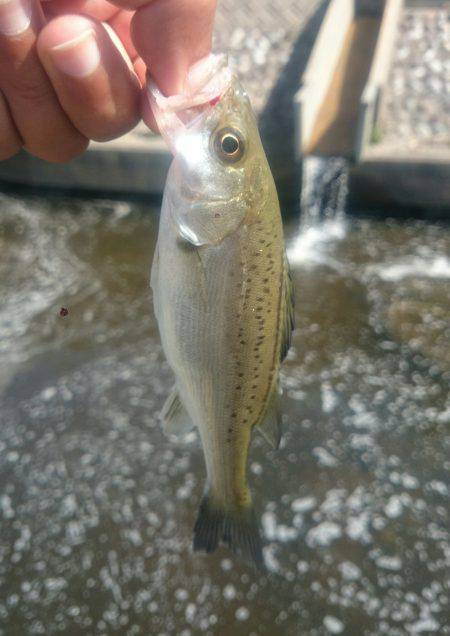 休憩時間にエントリー