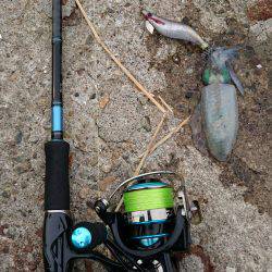 まだまだお子様、、