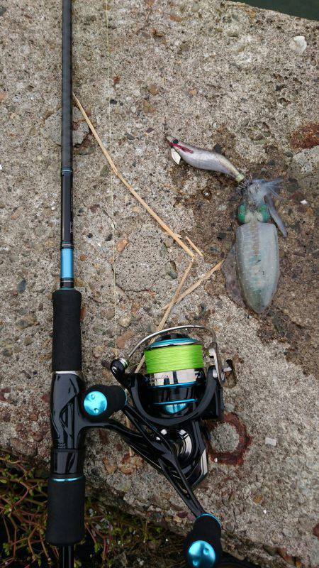 まだまだお子様、、