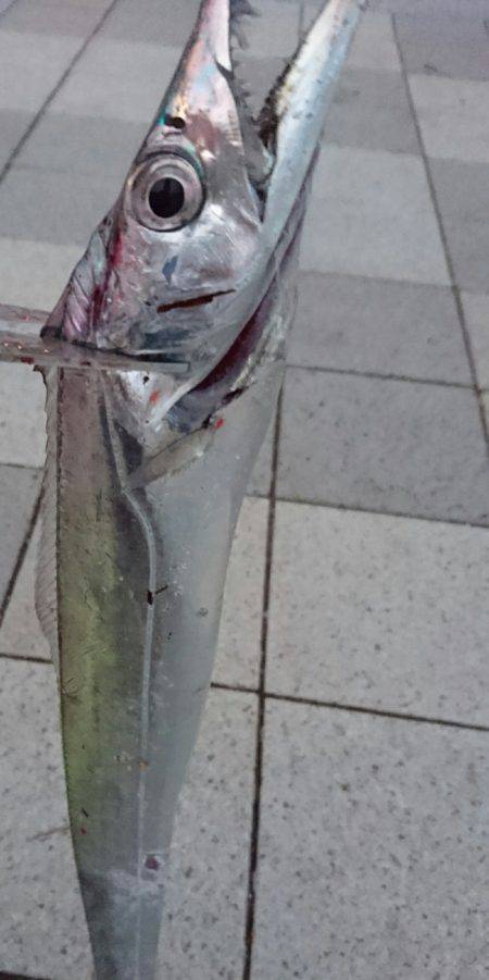 祭り…ではないな