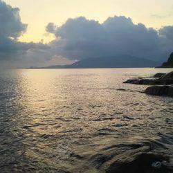 エギング撃沈からの尺アコウ