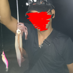 今期初ケンサキイカ!