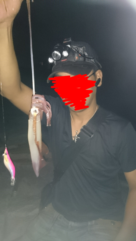 今期初ケンサキイカ！