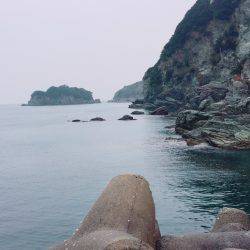 太刀魚アオリ２本立て