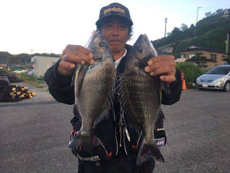 由良渡船 釣果