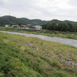狩野川(狩野川漁業協同組合) 釣果