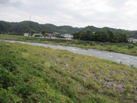 狩野川(狩野川漁業協同組合) 釣果