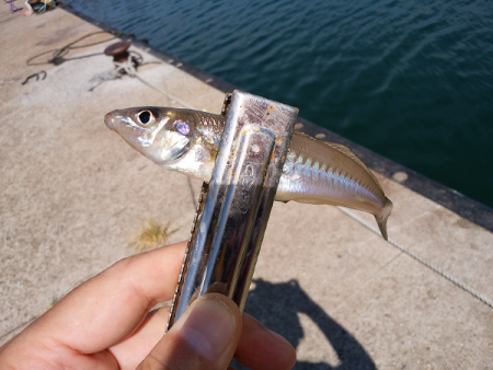 チョイ投げのキス狙い