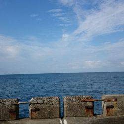 数釣り出来ず…