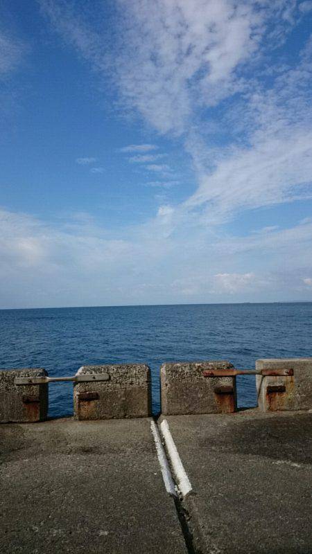 数釣り出来ず…