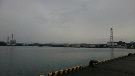 タチウオとカマス