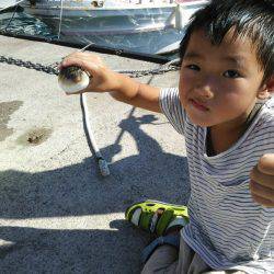 ファミリーサビキ