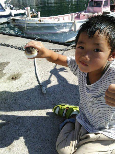 ファミリーサビキ