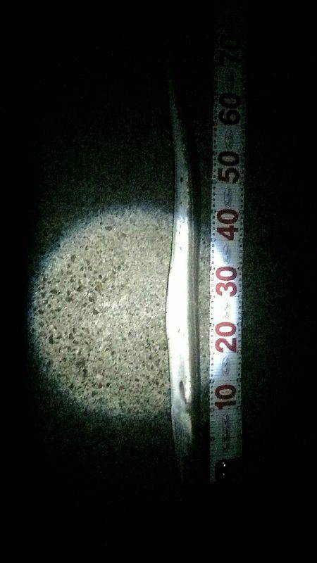 イカ狙いがタチウオとハモ