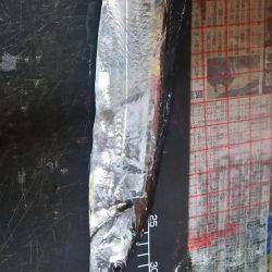 どこも人でいっぱい