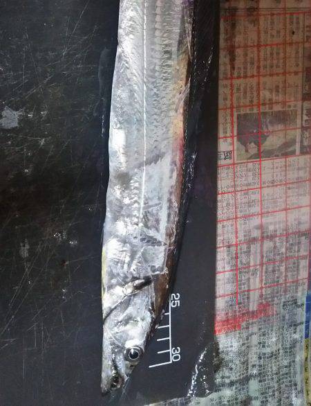 どこも人でいっぱい