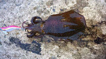 大ウネリに苦戦