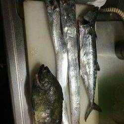 今宵の刀狩りは。。。