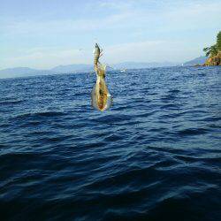 ティップランから心折れてタイラバ