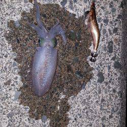 夕方からブラっと