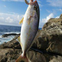 佐多岬でルアー釣り