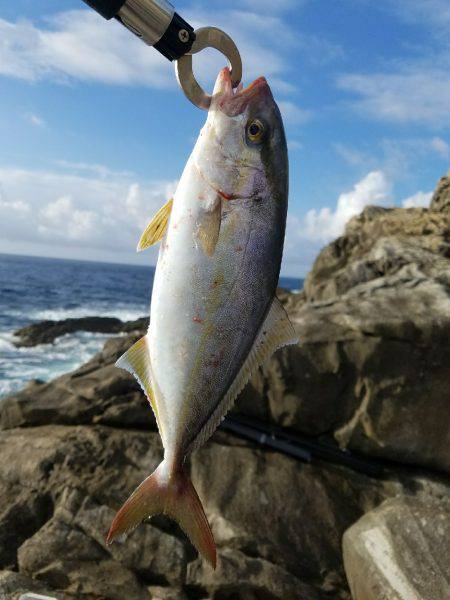 佐多岬でルアー釣り