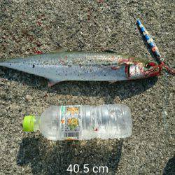 釣れて満足でも課題が残る釣行