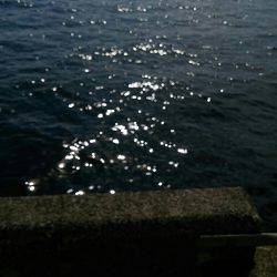 どこもかしこも竿人竿