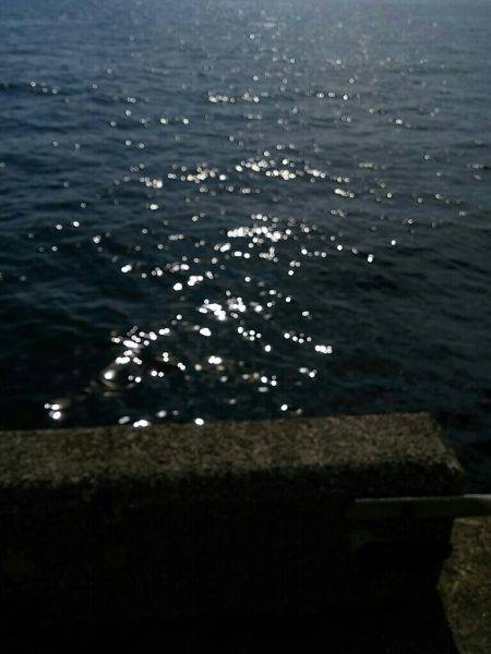 どこもかしこも竿人竿