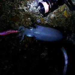 台風が来る前に