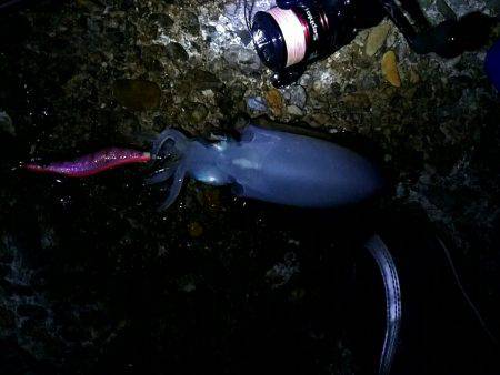 台風が来る前に