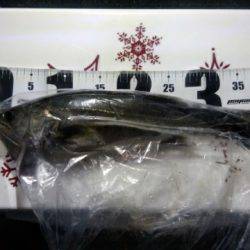 台風後　雲出川アタック