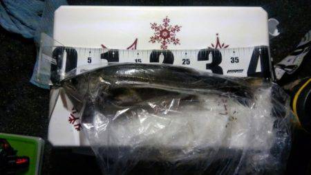 台風後　雲出川アタック