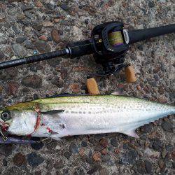 バスタックルでショアジギ