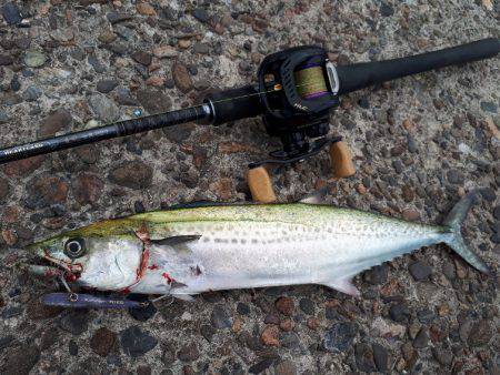 バスタックルでショアジギ