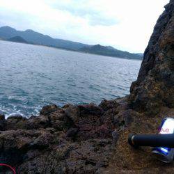 またしてもヒラマサに出会えず